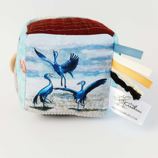 Birds Cube